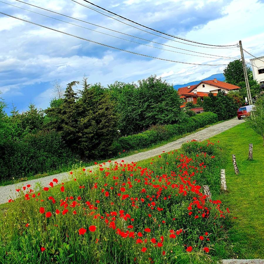 Luna Home Bistriţa Exterior foto
