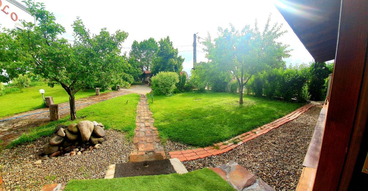 Luna Home Bistriţa Exterior foto