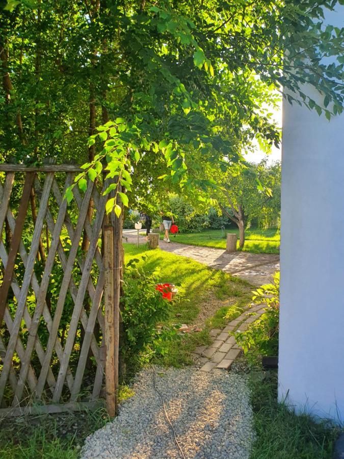 Luna Home Bistriţa Exterior foto