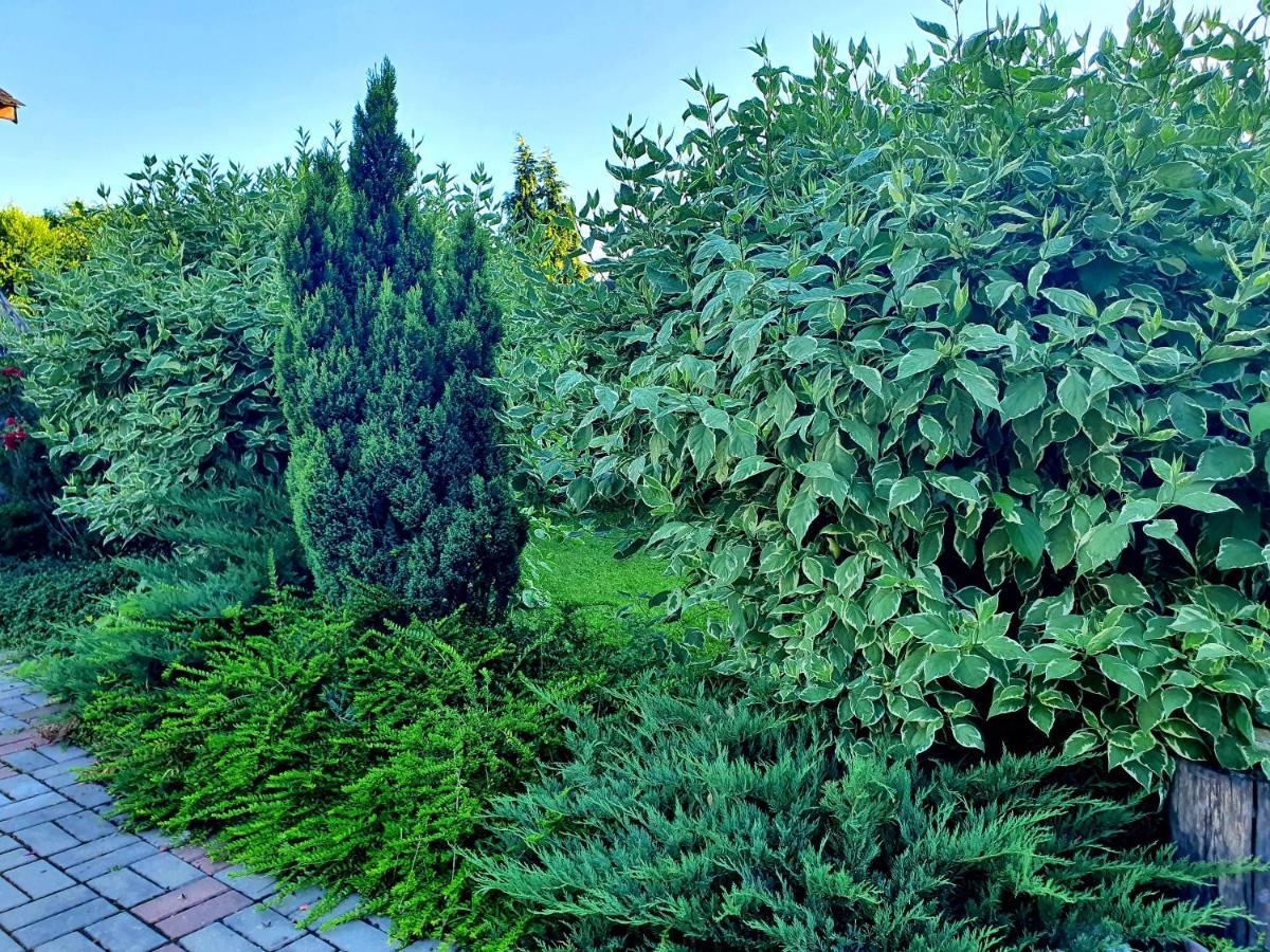 Luna Home Bistriţa Exterior foto
